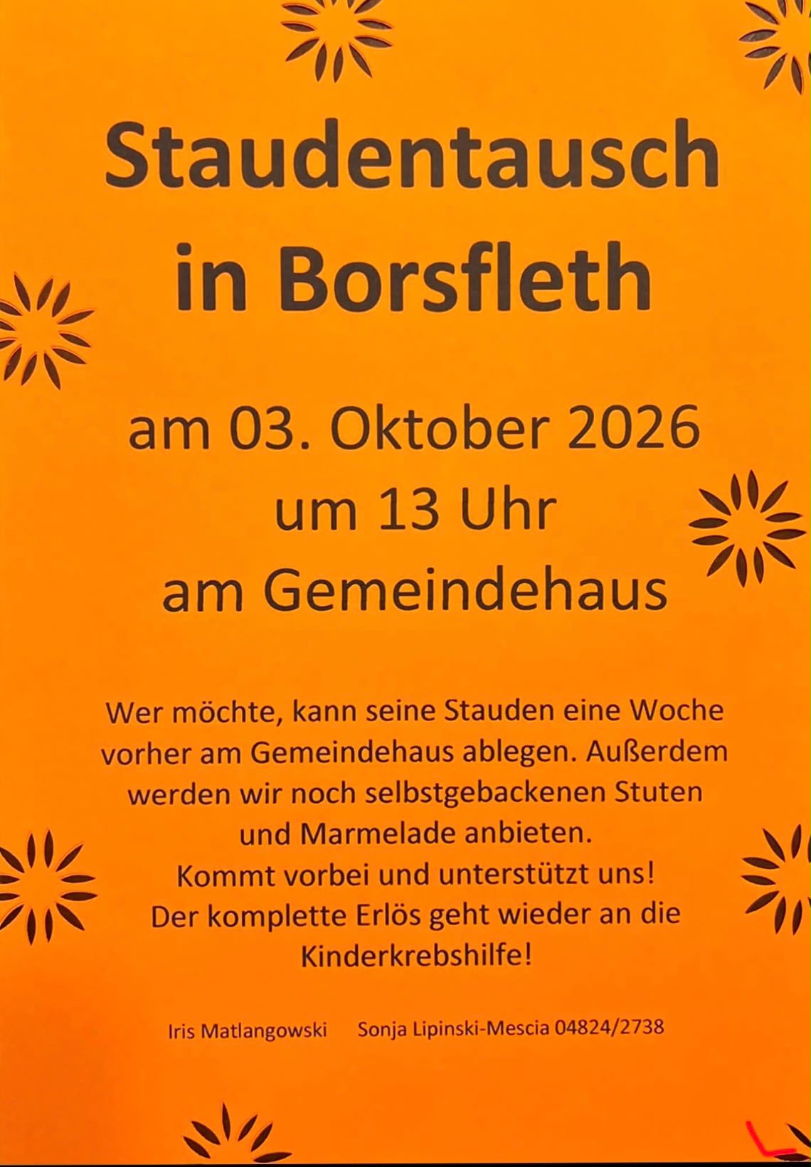 Staudentausch in Borsfleth am 03. Oktober 2026 um 13 Uhr am Gemeindehaus